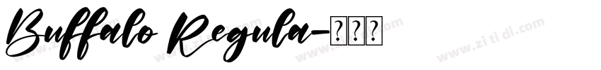 Buffalo Regula字体转换